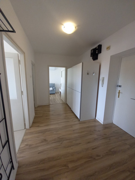 Stan Belveder, 1S+DB - 6/8